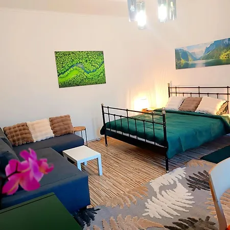 Family Center Of Apartment